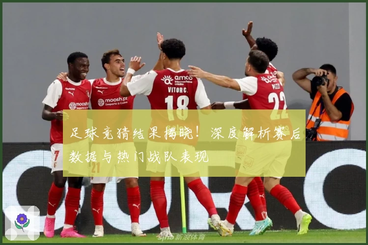 足球竞猜结果揭晓！深度解析赛后数据与热门战队表现