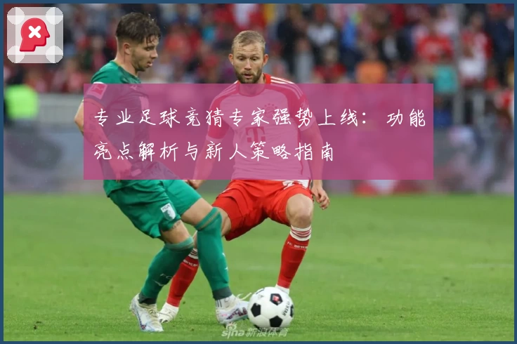 专业足球竞猜专家强势上线：功能亮点解析与新人策略指南
