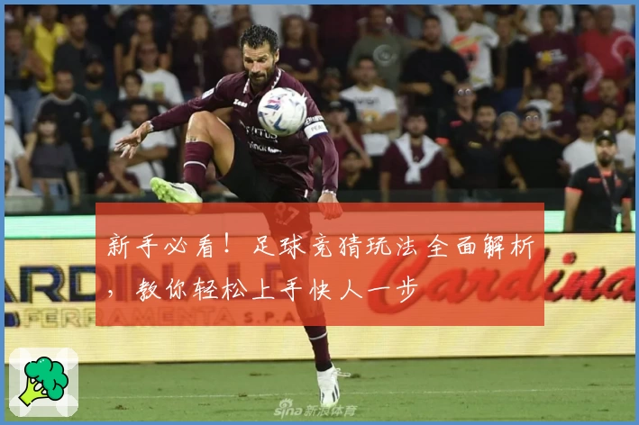 新手必看！足球竞猜玩法全面解析，教你轻松上手快人一步